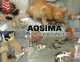 (24-4) 【Ehime 3】 Aosima, a macskasziget. 15 szigetlakó és több mint 100 macska! Az elvándorlás és az elöregedés társadalmi problémája. Hazatérés Oszakába. 〈KÉPGALÉRIÁVAL〉
