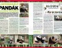 [MONDO] A Japánban élő pandák kalandos története